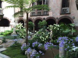 Another view of the flowers in the courtyard.