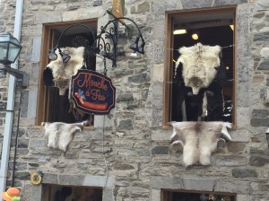 Fur shop on a lovely street 