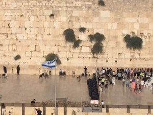 The side on the right is the women's side, you can see how many more women are there. There were a lot of young women at the front deep in prayer