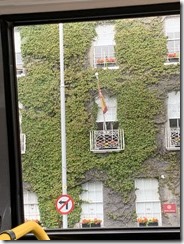 IMG_5060