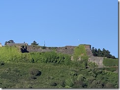 IMG_5341