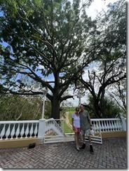 IMG_2165~photo IMG_2165~photo