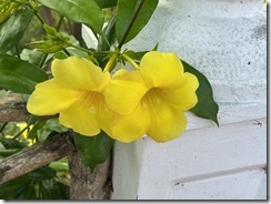 IMG_2168~photo IMG_2168~photo