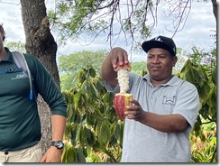 IMG_2188~photo IMG_2188~photo