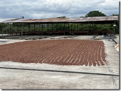 IMG_2200~photo IMG_2200~photo