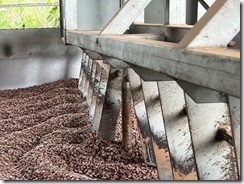 IMG_2204~photo IMG_2204~photo