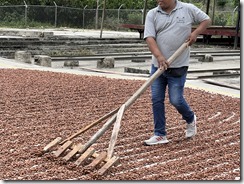 IMG_2206~photo IMG_2206~photo