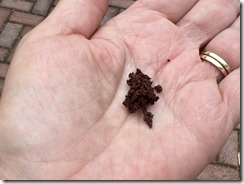 IMG_2216~photo IMG_2216~photo