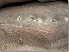 IMG_2660~photo - Copy