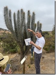 IMG_2663~photo - Copy