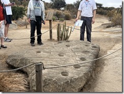 IMG_2665~photo - Copy