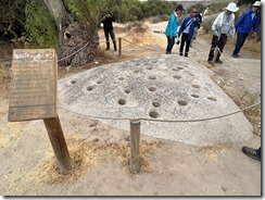 IMG_2667~photo - Copy