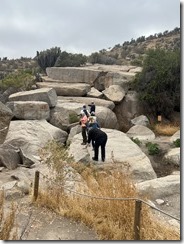 IMG_2670~photo - Copy