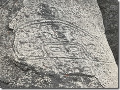 IMG_2672~photo - Copy