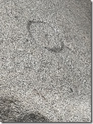 IMG_2674~photo - Copy