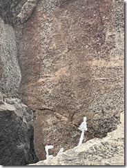 IMG_2676~photo - Copy