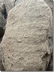 IMG_2678~photo - Copy