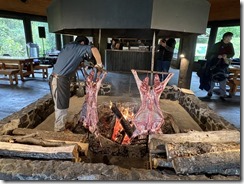 IMG_3003~photo - Copy (2)