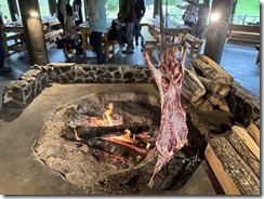 IMG_3006~photo - Copy