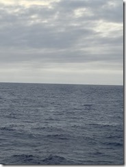 IMG_3222~photo IMG_3222~photo