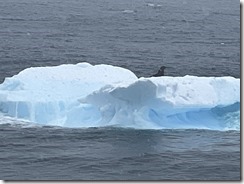 IMG_3233~photo IMG_3233~photo