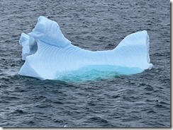 IMG_3290~photo IMG_3290~photo