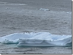 IMG_3295~photo IMG_3295~photo