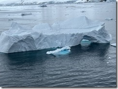 IMG_3298~photo IMG_3298~photo