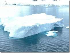 IMG_3301~photo IMG_3301~photo