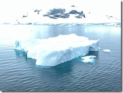 IMG_3302~photo IMG_3302~photo