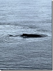 IMG_3304~photo IMG_3304~photo