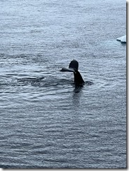 IMG_3307~photo IMG_3307~photo