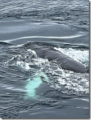 IMG_3313~photo IMG_3313~photo