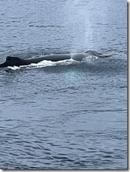 IMG_3318~photo IMG_3318~photo