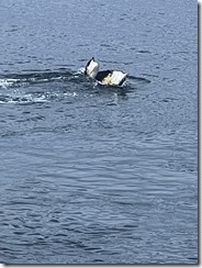 IMG_3321~photo IMG_3321~photo