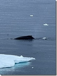 IMG_3326~photo IMG_3326~photo