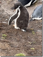 IMG_3399~photo - Copy