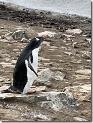 IMG_3402~photo - Copy