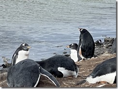 IMG_3405~photo - Copy