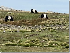 IMG_3410~photo - Copy