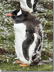 IMG_3417~photo - Copy