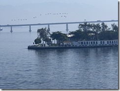 IMG_3843~photo - Copy