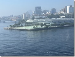 IMG_3845~photo - Copy