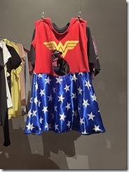 IMG_3873~photo - Copy