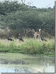 IMG_5528~photo IMG_5528~photo