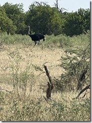 IMG_5532~photo IMG_5532~photo