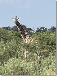 IMG_5535~photo IMG_5535~photo