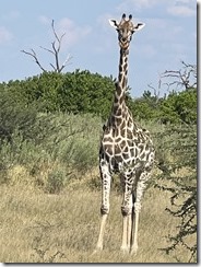 IMG_5537~photo IMG_5537~photo