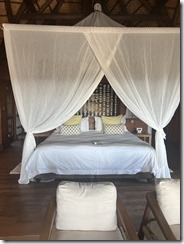 IMG_5544~photo IMG_5544~photo