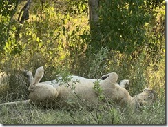 IMG_5563~photo IMG_5563~photo